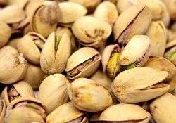 Cardamom